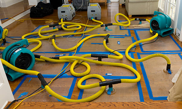 Professional Sewage Cleanup technician working in Augusta, KY